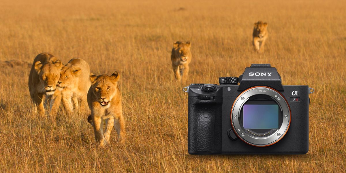 Sony A7R IIIa